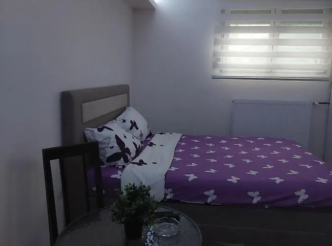 Διαμέρισμα Zivkovic