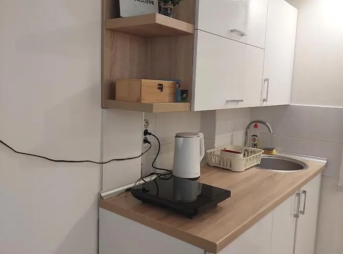 Διαμέρισμα Zivkovic *