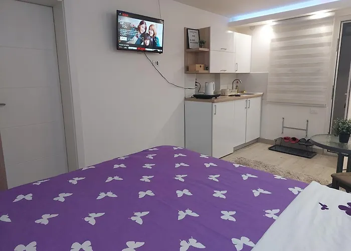 Zivkovic * Λέσκοβατς