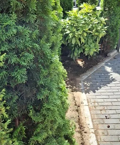 Διαμέρισμα Zivkovic Λέσκοβατς