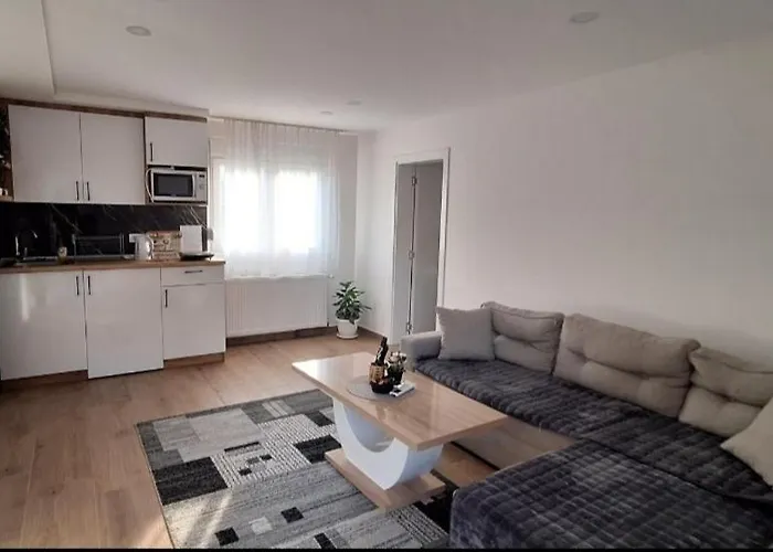 Διαμέρισμα Zivkovic *