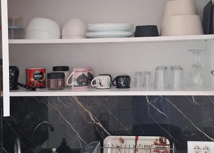 Διαμέρισμα Zivkovic *